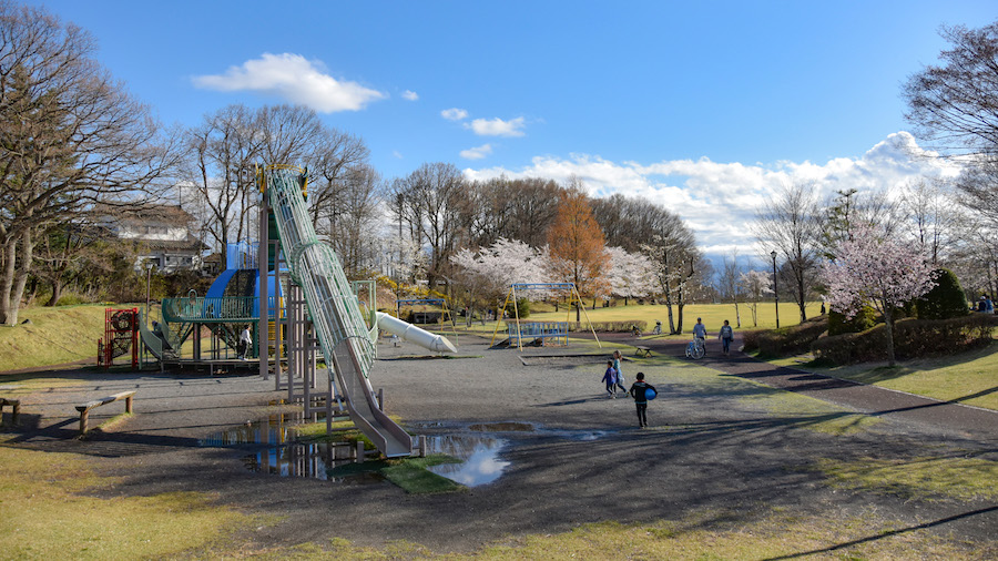 DSC_0289a