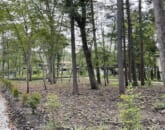 小倉の里　土地