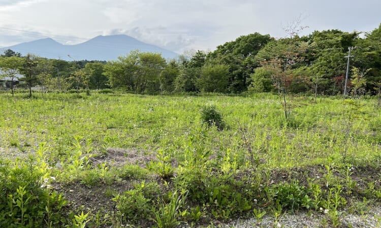 中軽井沢　土地
