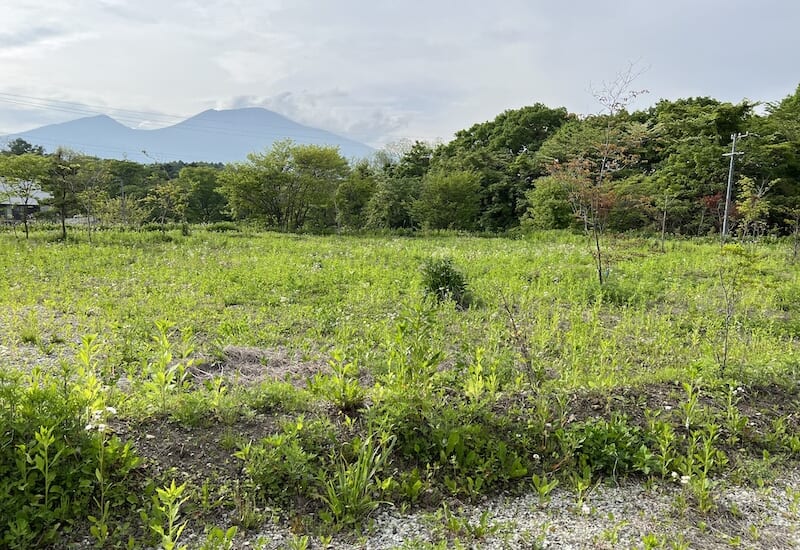 中軽井沢 土地