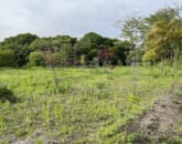 中軽井沢　土地