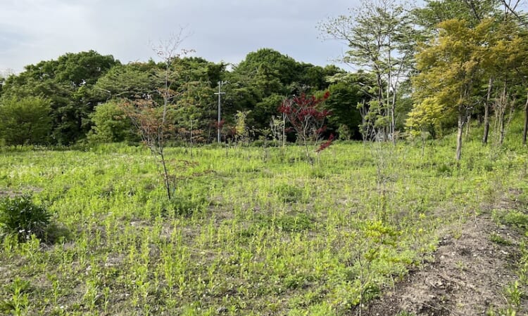 中軽井沢　土地