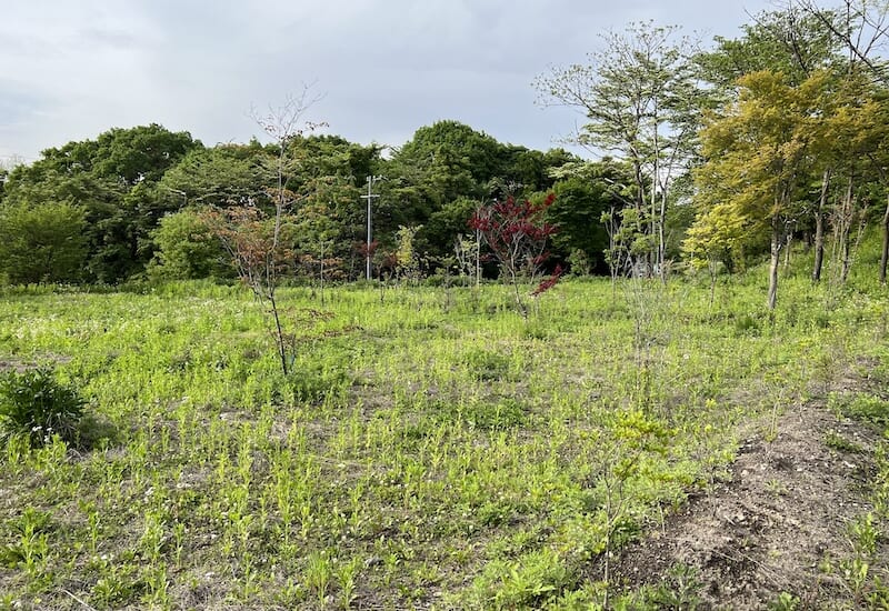 中軽井沢 土地