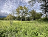 中軽井沢　土地