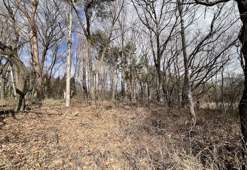 御代田 土地